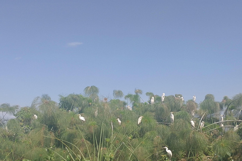 3 Days Kidepo Valley National Park Uganda Safari