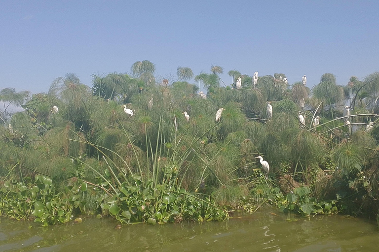 3 Days Kidepo Valley National Park Uganda Safari