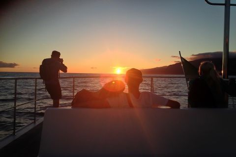 Madera: Rejs katamaranem o zachodzie słońca z Funchal