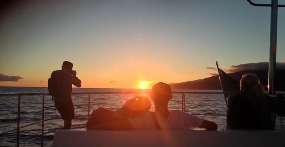 Madeira: Funchal Sunset Catamaran Tour by VMT Madeira
