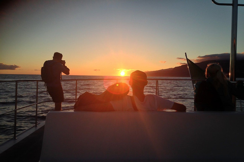 Madeira: catamarantour bij zonsondergang vanuit Funchal