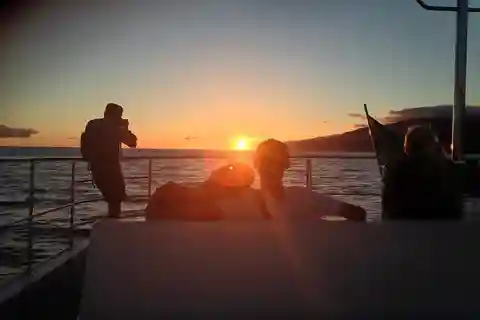 Madère : Excursion en catamaran au coucher du soleil à Funchal