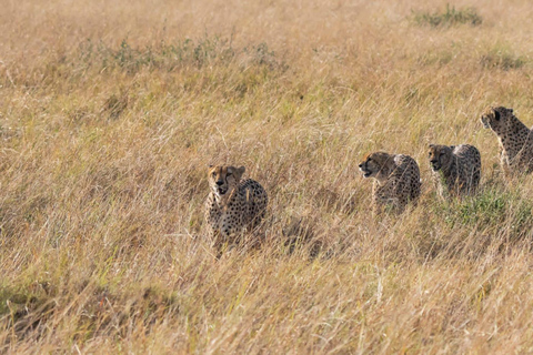 3 days masai mara safari