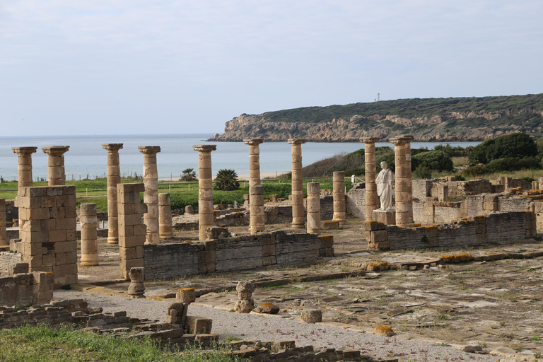 Tarifa: Baelo Claudia Guided Tour & Roman Dinning Experience