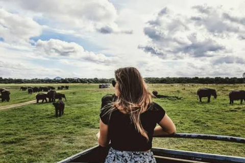 Sigiriya: Kaudulla National Park Safari & Village Tour Pickup from Dambulla and Kandalama