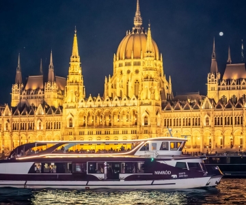 Budapest: Crucero turístico nocturno o diurno