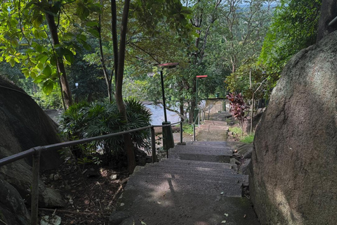 From Colombo: Gampaha District Temples & Jungle Hike Tour