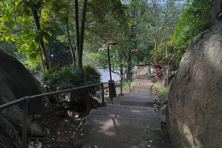 From Colombo: Gampaha District Temples & Jungle Hike Tour