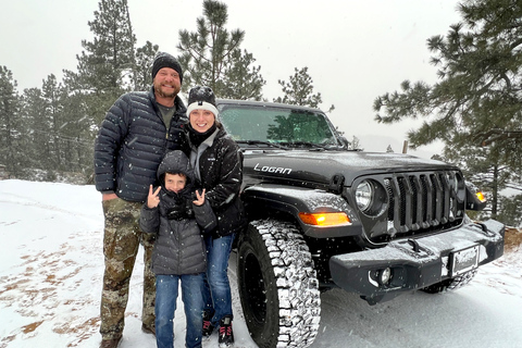 Colorado Springs: Garden of the Gods Guided Jeep Tour