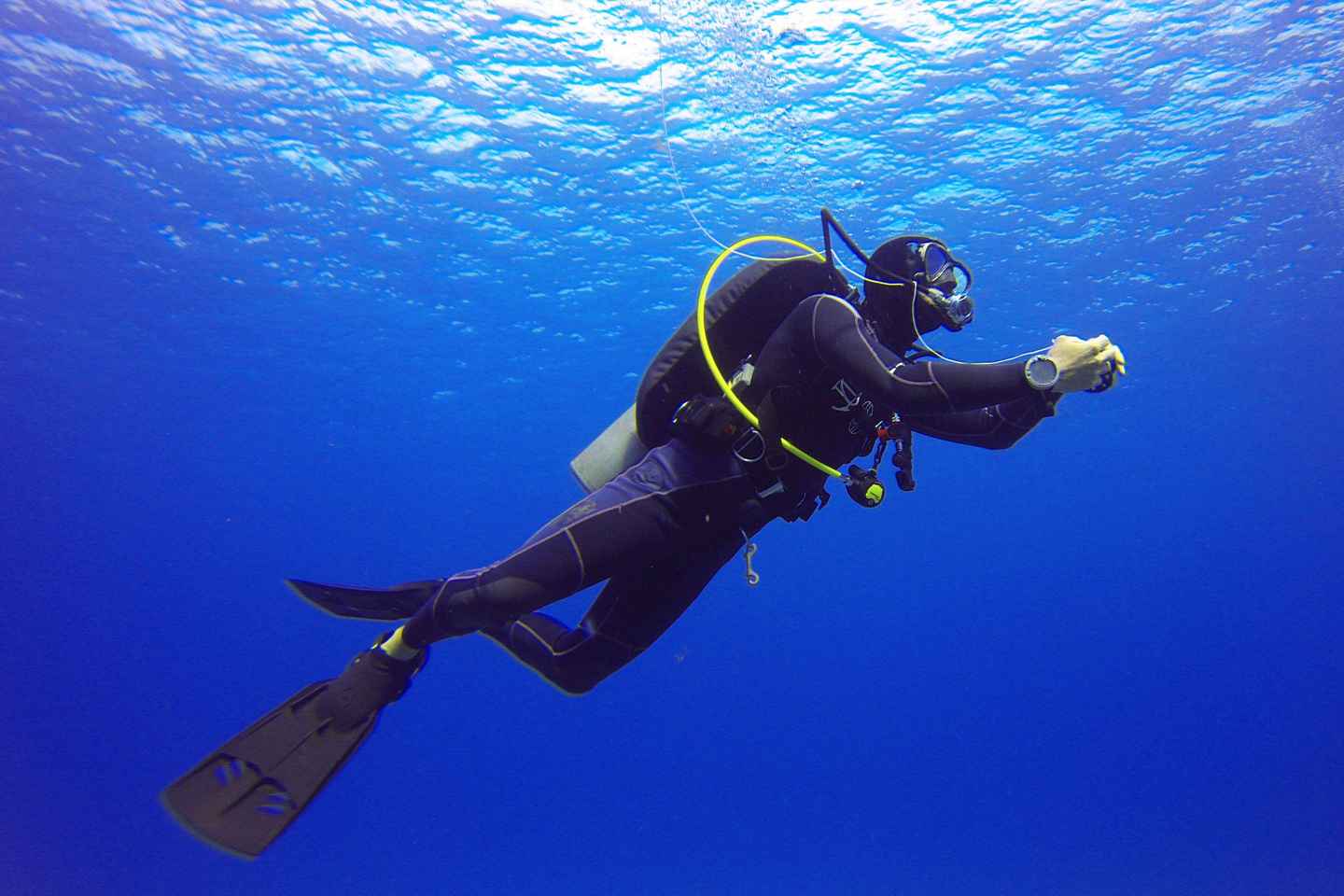 “马尔马里斯：专业教练带你潜水探索”