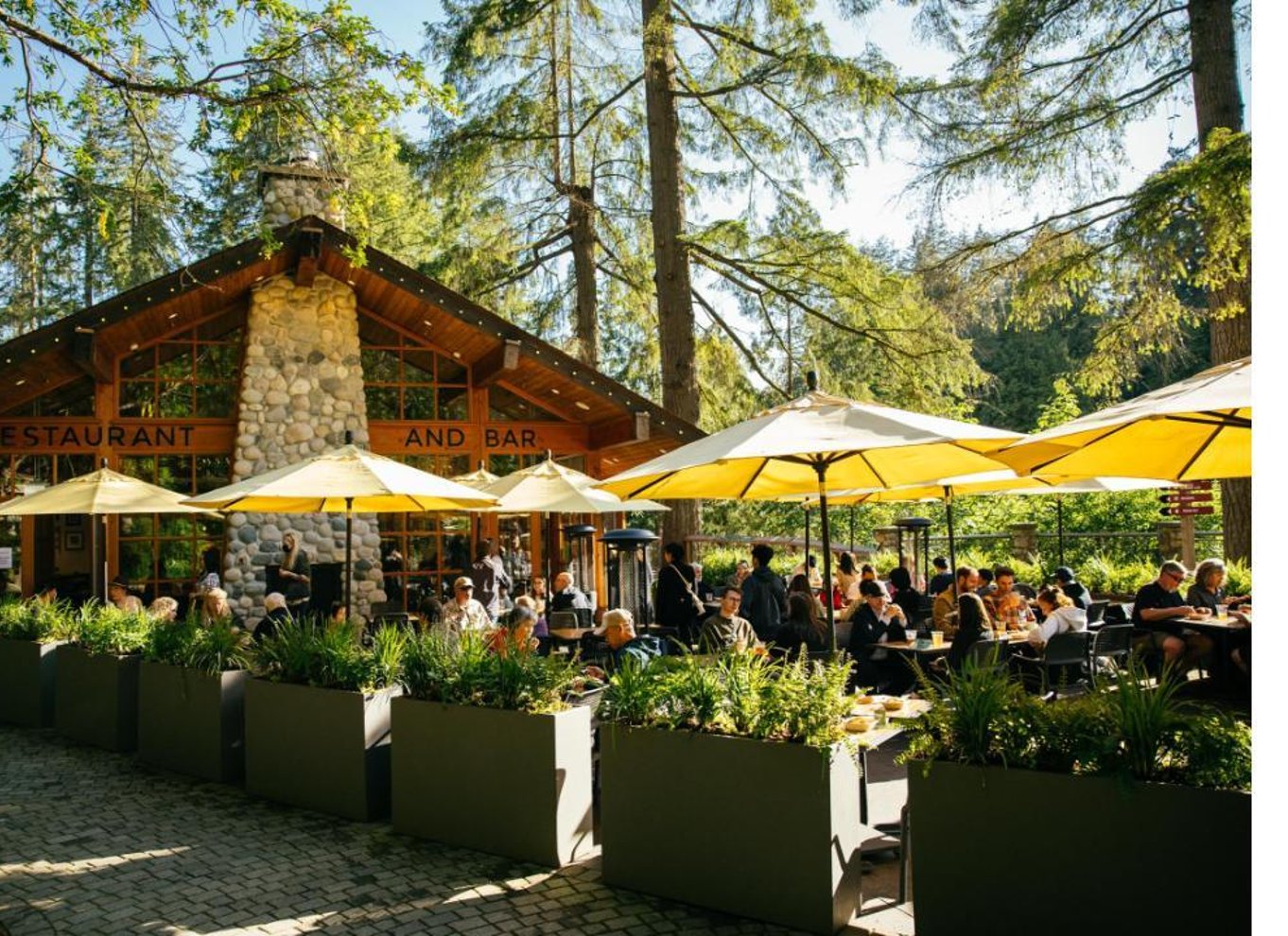 Vancouver: Capilano Suspension Bridge Park billet