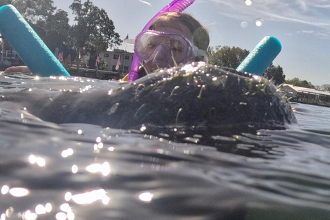 Crystal River: Guided Manatee Tour Heated Boat Free Photos