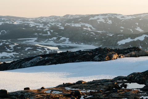 Tromsø: Aventura exclusiva en trineo tirado por perros