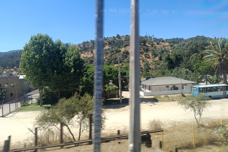 Valparaíso: Scenic Train Journey from Coast to Valley