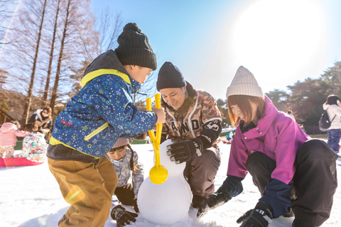 Osaka: Rokko Snow Park – wycieczka 1-dniowa z opcjonalną lekcją jazdy na nartachD (SANKI)