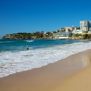 From Sydney: Full Day Tour of Golden Beaches and Ocean Vista From Sydney: Full Day Tour of Golden Beaches and Ocean Vista