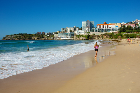 From Sydney: Full Day Tour of Golden Beaches and Ocean Vista