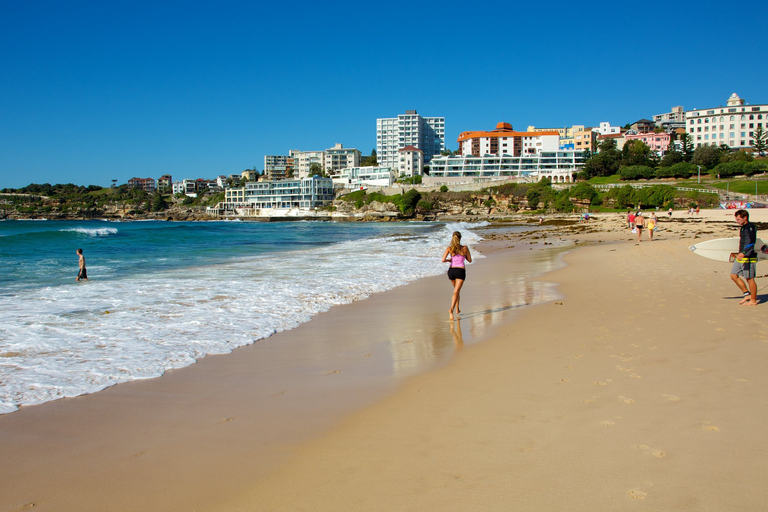 From Sydney: Full Day Tour of Golden Beaches and Ocean Vista