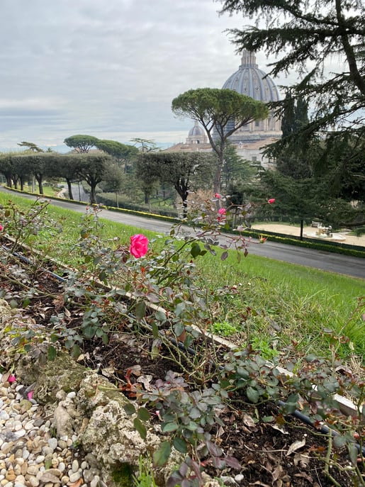 Im Vatikanstaat: ...