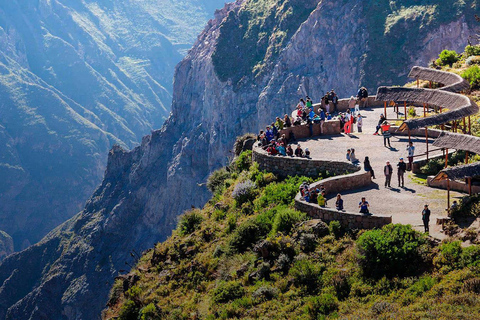 COLCA TREK - 2 DAGAR - DEN BÄSTA VANDRINGENfrån Arequipa: vandring 2 dagar 1 natt - colca canyon