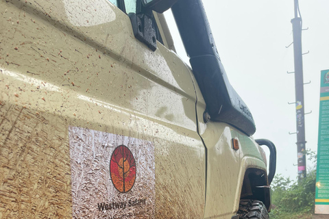 Arusha: 3-Day Serengeti Safari with Accommodation