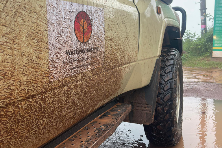 Arusha: 3-Day Serengeti Safari with Accommodation