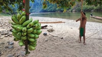 Panama City, Embera Tour indigeno della tribù e del fiume con pranzo - Hizvo