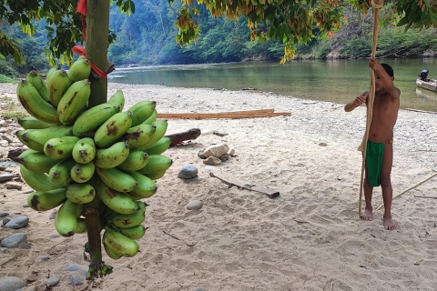 Panama: visite privée du village indigène Embera