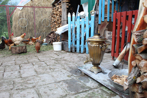 Yerevan: Lake Sevan, Dilijan & Fioletovo Tea Experience