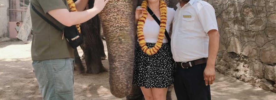 Visite du Taj Mahal et du Fort d'Agra, avec Sanctuaire des Éléphants, le même jour