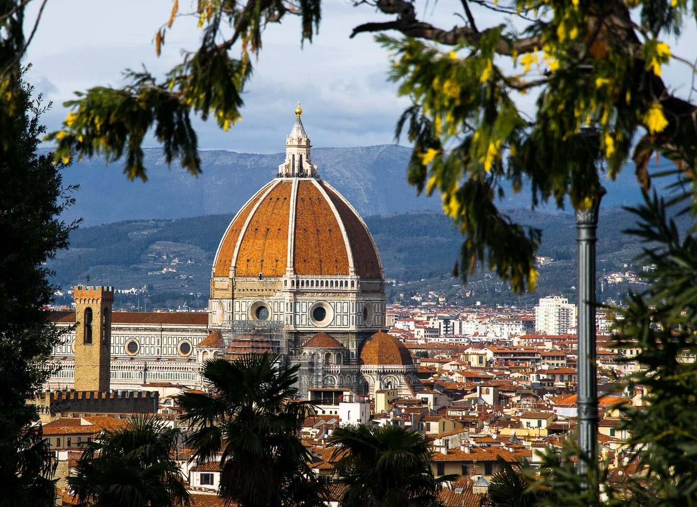 Firenze: Guidet tur til fods