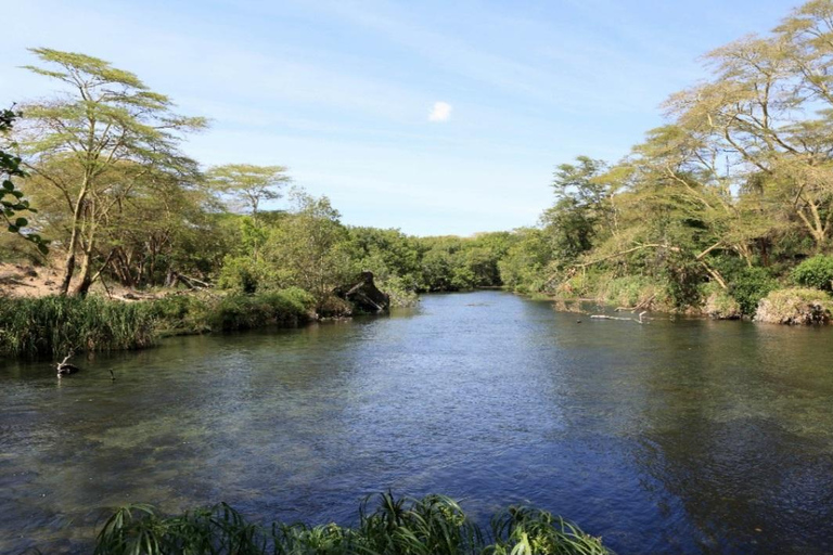 Mombasa: 3-Day Tsavo East/West & Kilimanjaro Views Safari