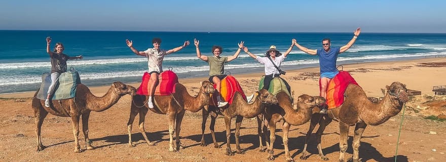 De Malaga : excursion à Tanger avec ferry, chameau et souks
