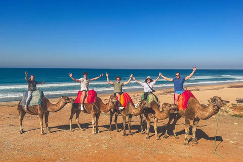 From Estepona: Tangier Day Trip with Ferry & Camel & Souk