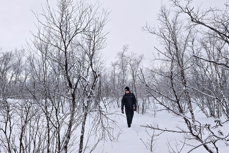 Arctic Morning - Snowshoe Experience (Private tour)