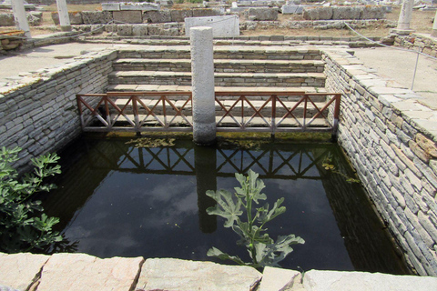 Delos: Única visita guiada de áudio ao sítio arqueológicoDelos: Somente tour guiado por áudio pelo sítio arqueológico