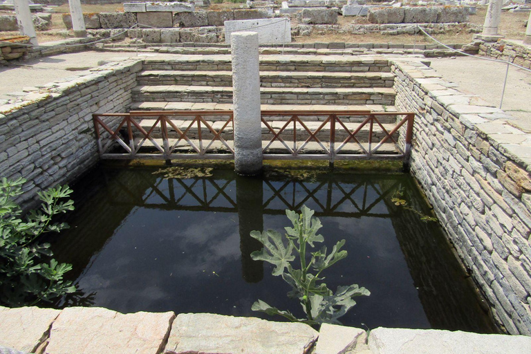 Delos: Only Audio-guided tour of the arheological site