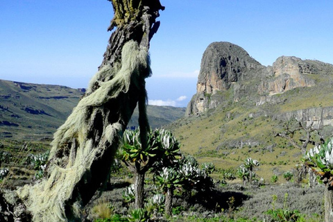 2 Day on Mount Elgon Hiking & Nature Walk Experience