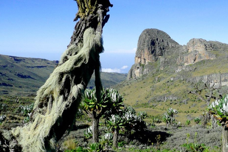 2 Day on Mount Elgon Hiking & Nature Walk Experience