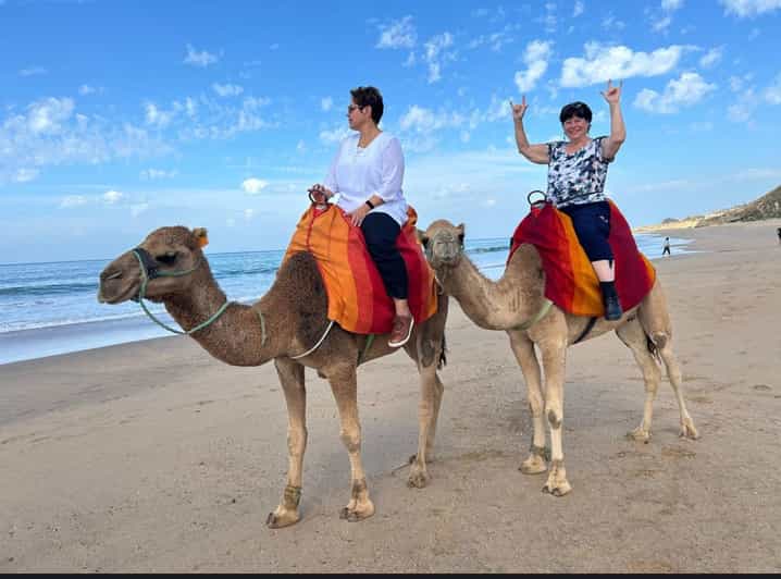 Tanger : visite touristique privée d'une jounée avec balade à dos de chameau - dromadaire