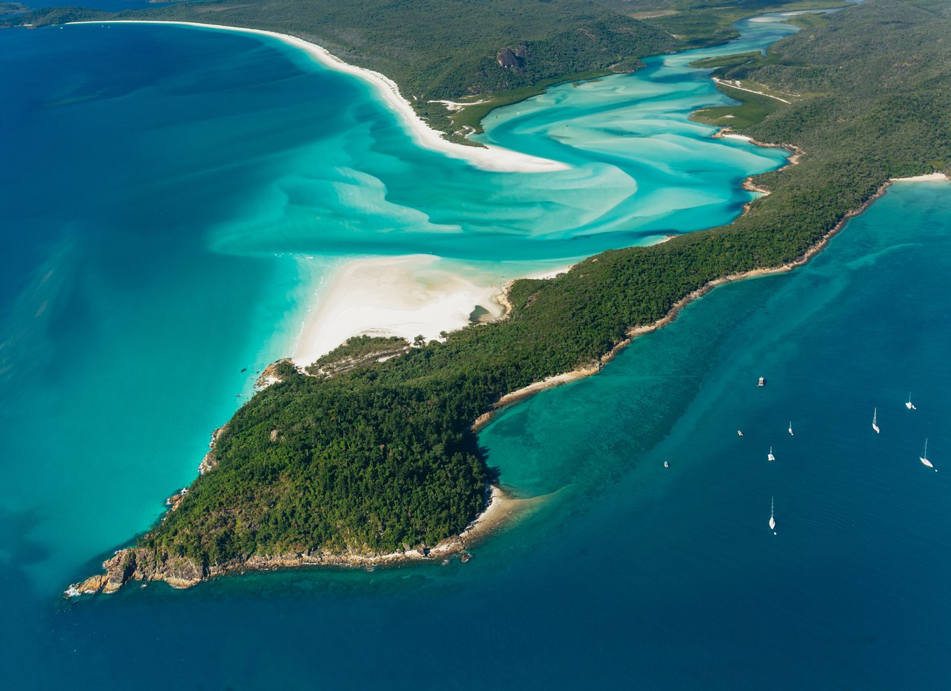 Fra Airlie Beach: Whitsundays Scenic Flight med afhentning