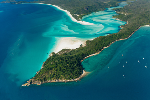 Depuis Airlie Beach : Vol panoramique des Whitsundays avec prise en charge