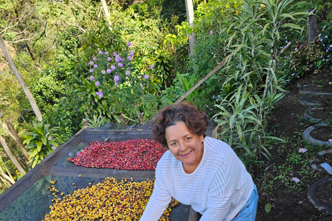 Ancestral Coffee Experience:Become a Coffee Farmer for a Day