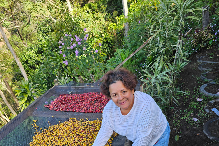 Ancestral Coffee Experience:Become a Coffee Farmer for a Day