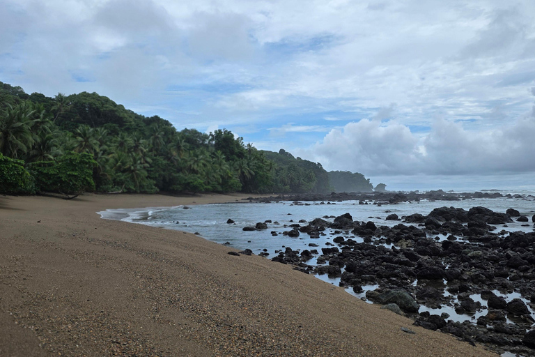 Sierpe : Caminata en Corcovado N. P.