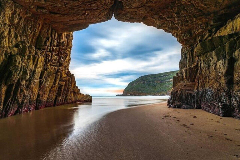 Hobart: 3-Day Tour of Bruny Island and Port Arthur