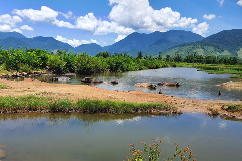 Von Hoi An/Danang: Hai Van Pass Motorradtour nach Hue