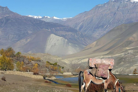 Pokhara: Jomsom, Marpha & Muktinath Temple 2day Budget Tour