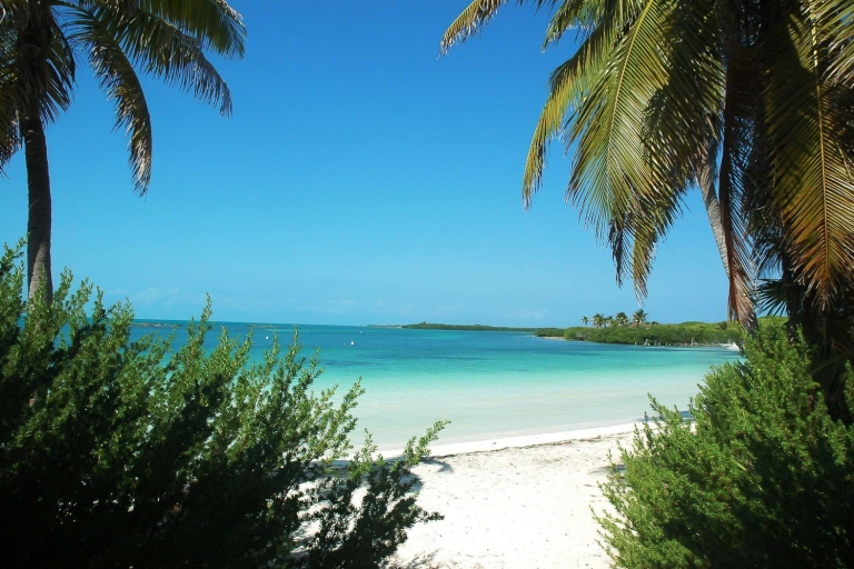 Cancun or Riviera Maya: Isla Contoy & Isla Mujeres Day Trip Tour from Riviera Maya South