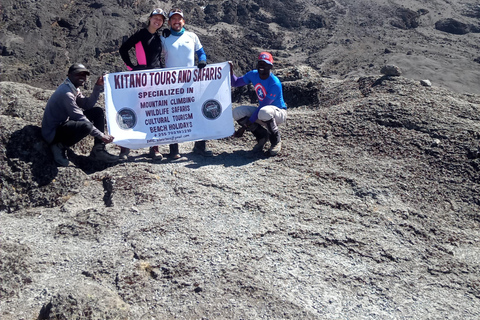 8 dagars fullmåneklättring på Lemosho Route i Kilimanjaro